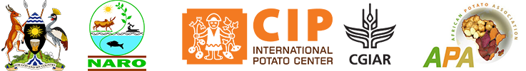 Conference Logo